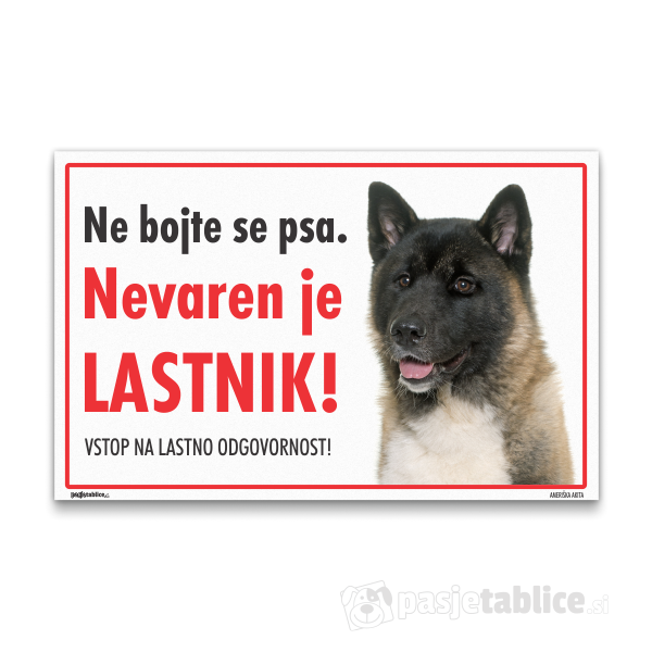 ameriska-akita-12