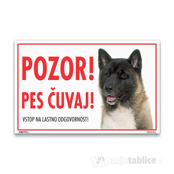 ameriska-akita-13