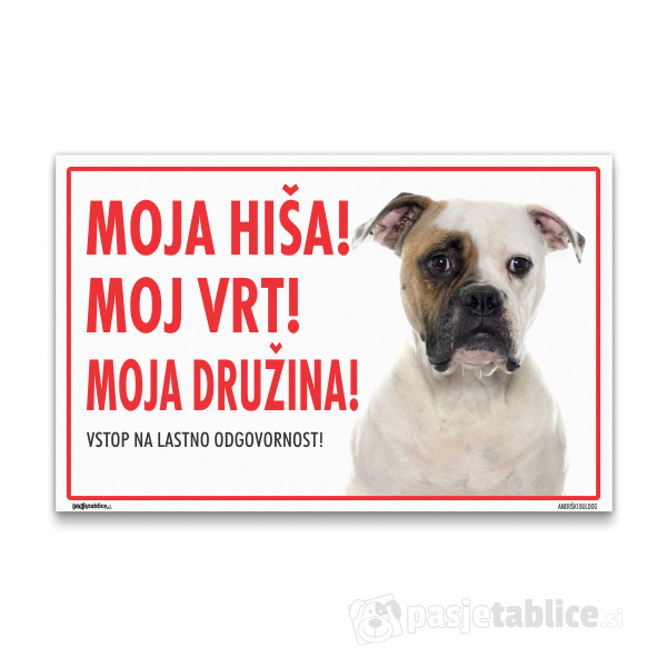 ameriski-buldog-2