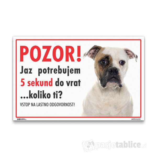 ameriski-buldog-4