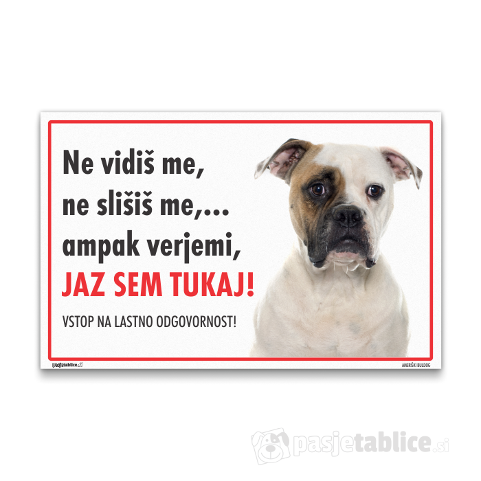 AMERIŠKI BULDOG 7