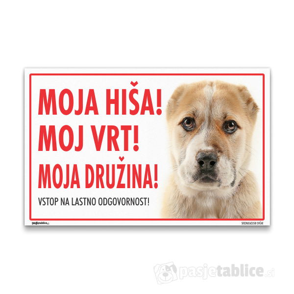 srednjeazijski-ovcar-2