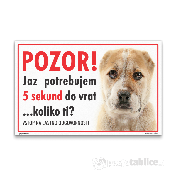 srednjeazijski-ovcar-4