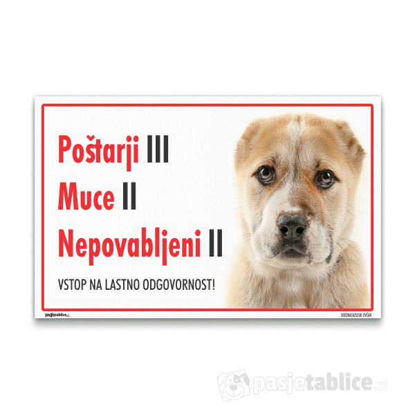 srednjeazijski-ovcar-6