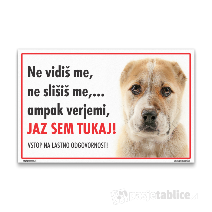 SREDNJEAZIJSKI OVČAR 7