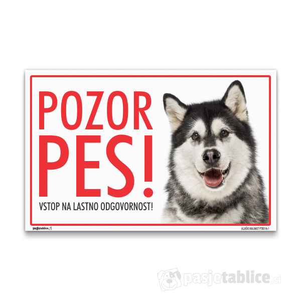 ALJAŠKI MALAMUT1