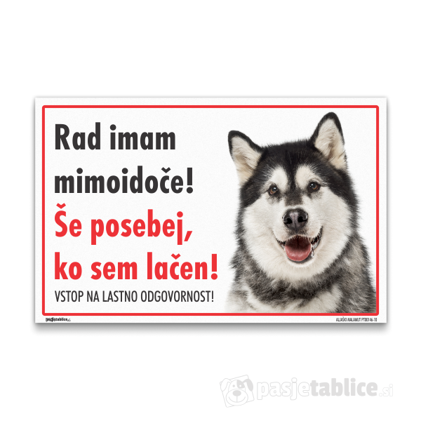 ALJAŠKI MALAMUT10