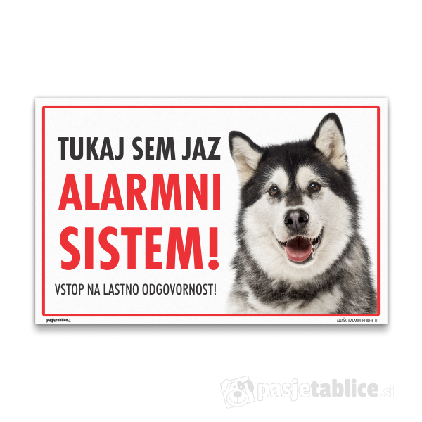 ALJAŠKI MALAMUT11