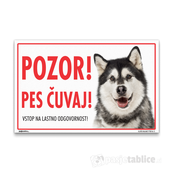 ALJAŠKI MALAMUT13