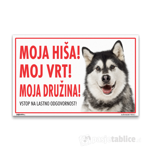 ALJAŠKI MALAMUT2