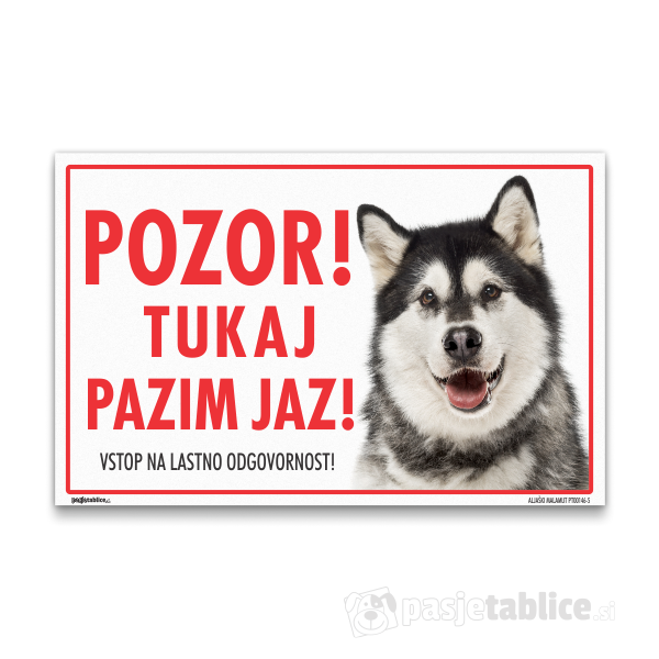 ALJAŠKI MALAMUT5