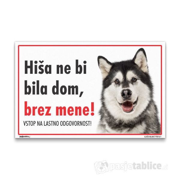 ALJAŠKI MALAMUT9
