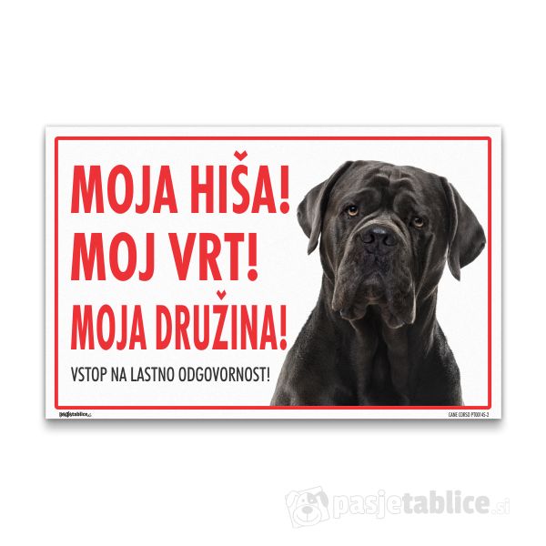 CANE CORSO2
