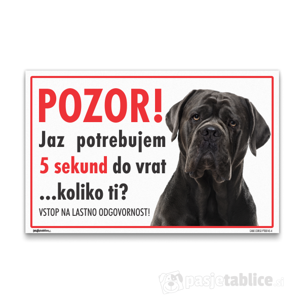 CANE CORSO4