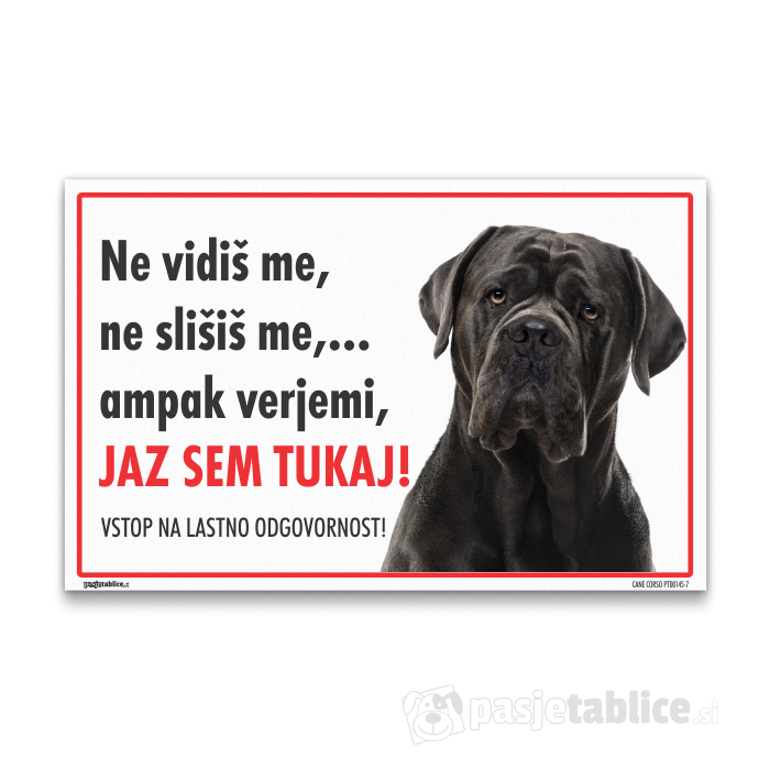 CANE CORSO7