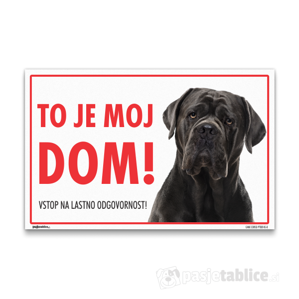 CANE CORSO8