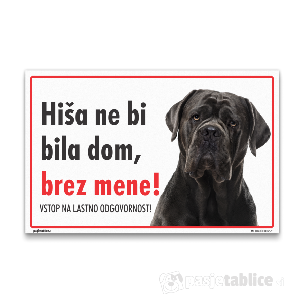 CANE CORSO9