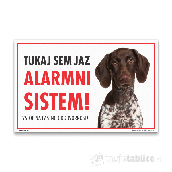 NEMŠKI KRATKODLAKI PTIČAR11