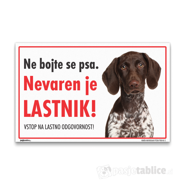 NEMŠKI KRATKODLAKI PTIČAR12