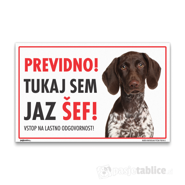 NEMŠKI KRATKODLAKI PTIČAR3