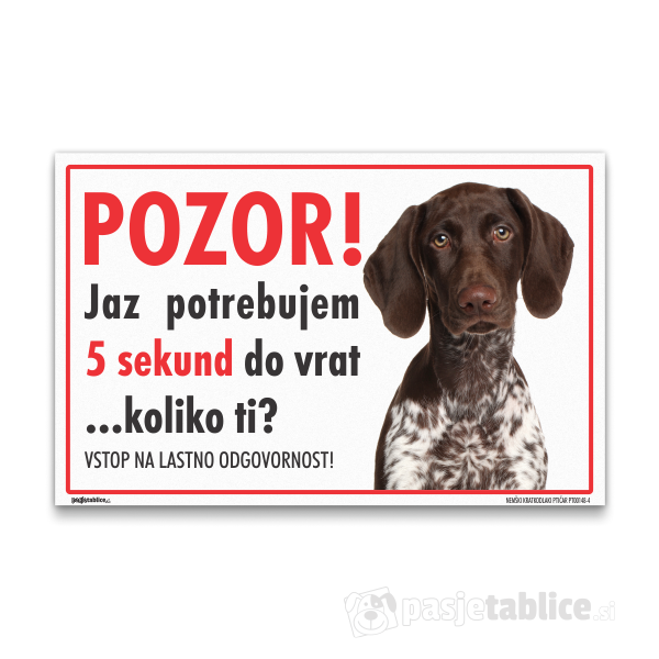 NEMŠKI KRATKODLAKI PTIČAR4