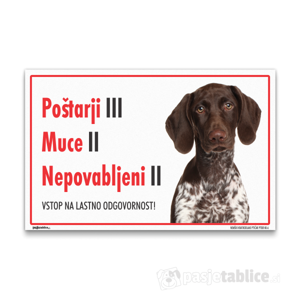 NEMŠKI KRATKODLAKI PTIČAR6
