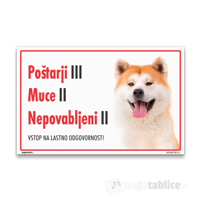 AKITA INU6