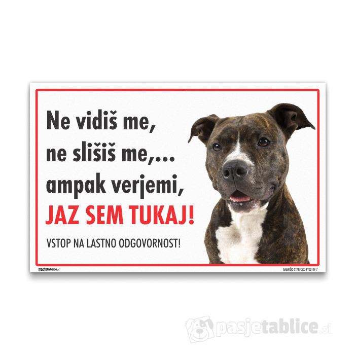 AMERIŠKI STAFFORD7