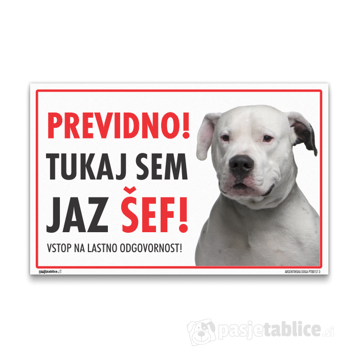 ARGENTINSKA DOGA3