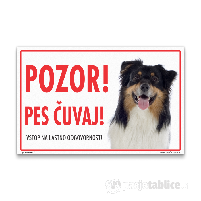 AVSTRALSKI OVČAR13