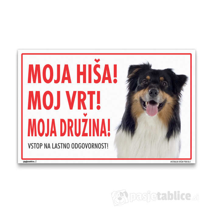 AVSTRALSKI OVČAR2