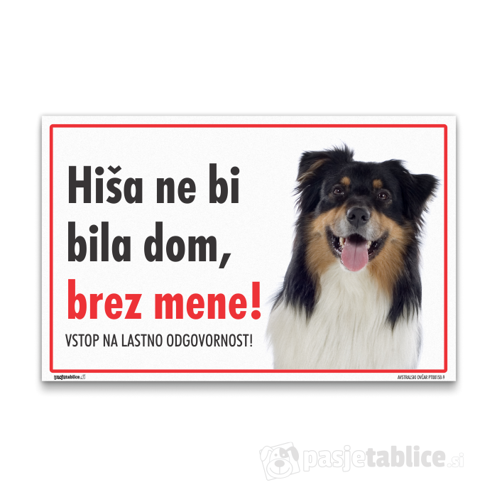 AVSTRALSKI OVČAR9