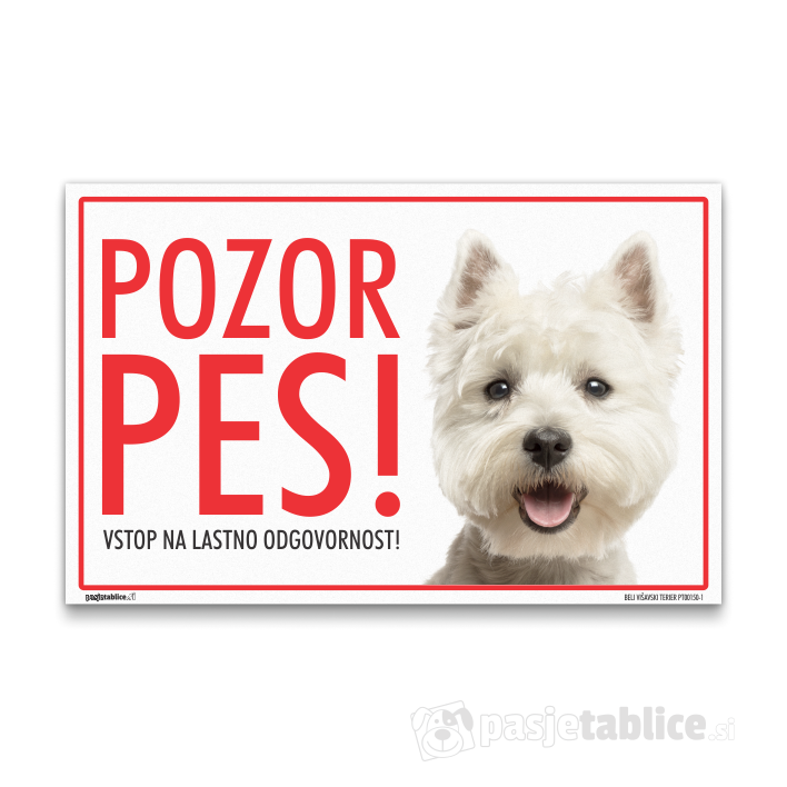 BELI VIŠAVSKI TERIER1