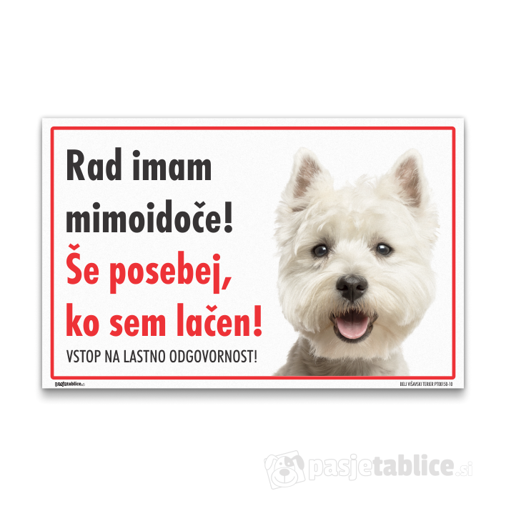 BELI VIŠAVSKI TERIER10