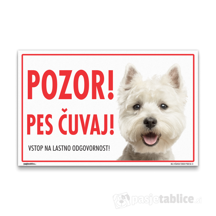 BELI VIŠAVSKI TERIER13