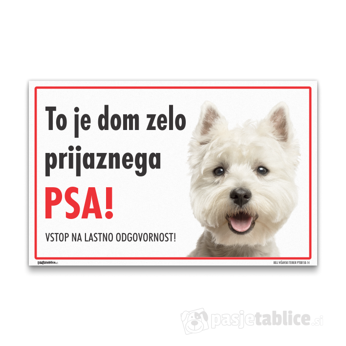 BELI VIŠAVSKI TERIER14