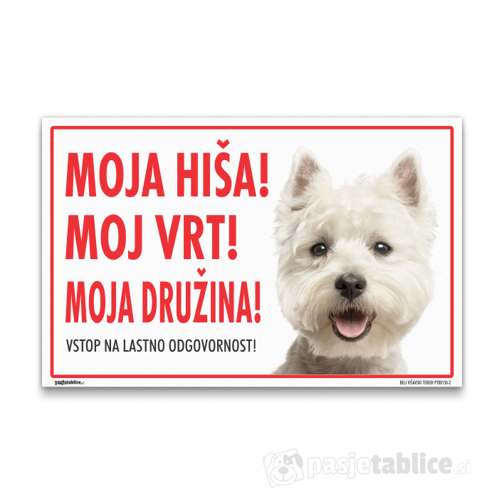 BELI VIŠAVSKI TERIER2