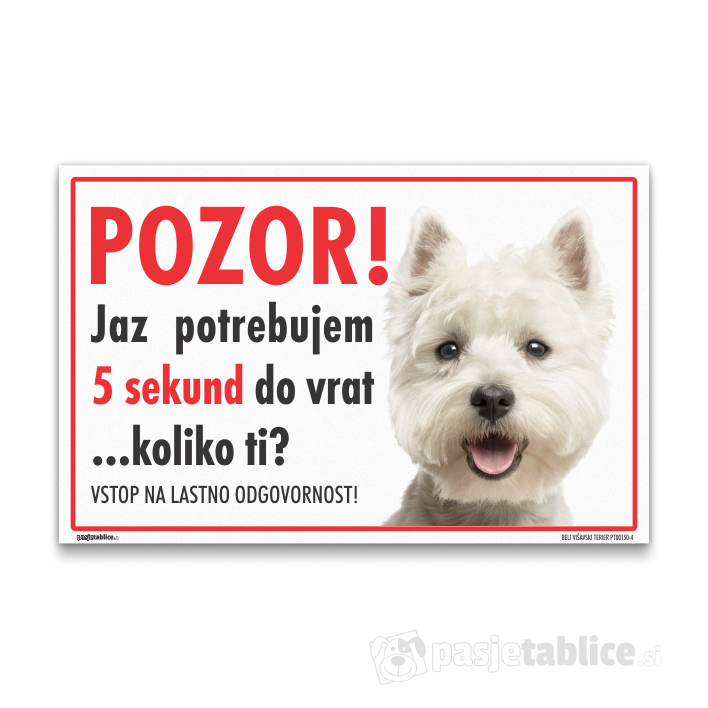 BELI VIŠAVSKI TERIER4