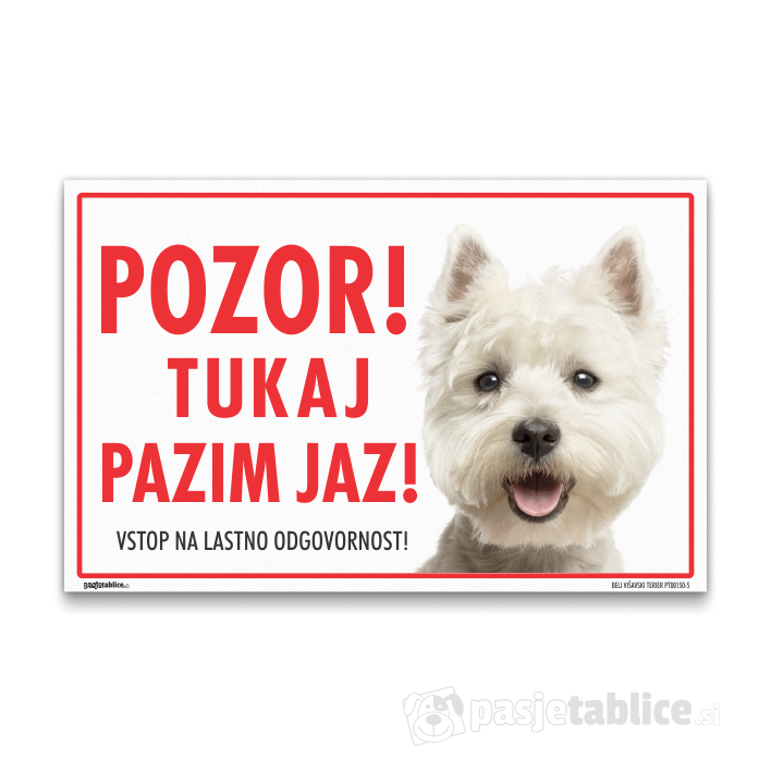 BELI VIŠAVSKI TERIER5