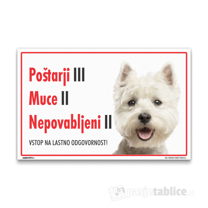 BELI VIŠAVSKI TERIER6