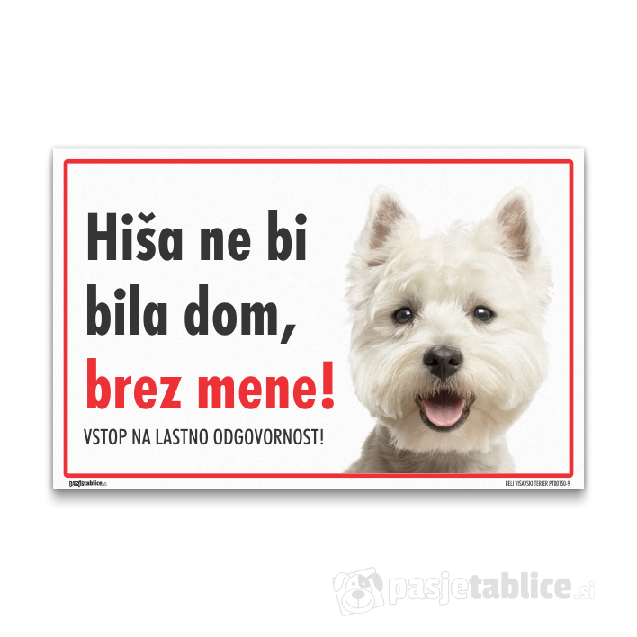 BELI VIŠAVSKI TERIER9