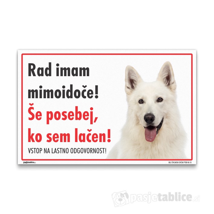 BELI ŠVICARSKI OVČAR10