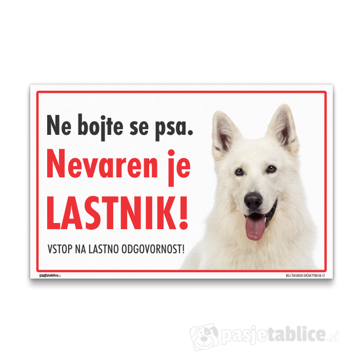 BELI ŠVICARSKI OVČAR12