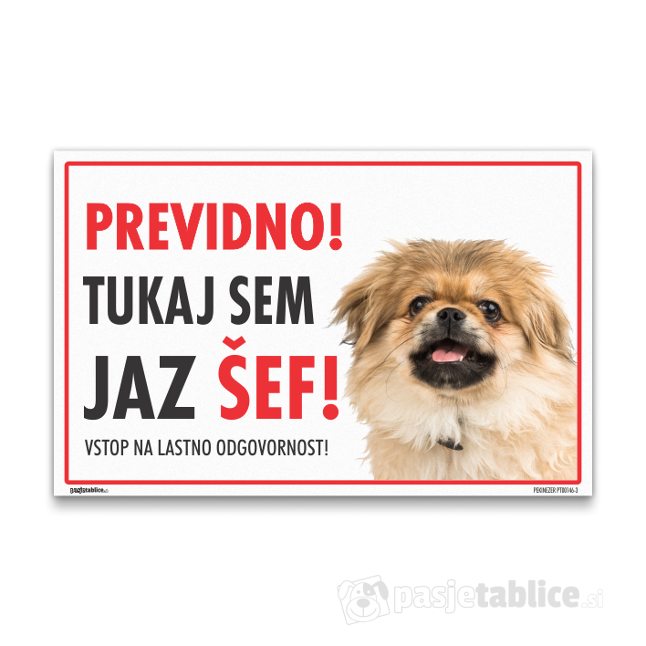PEKINEZER3