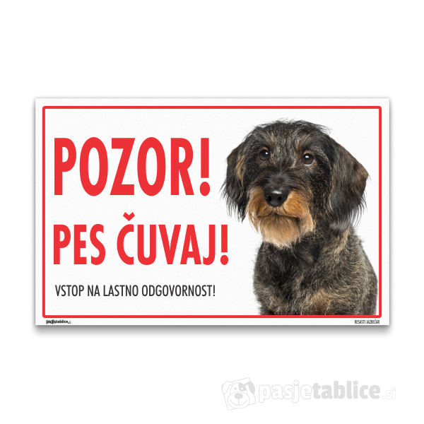 RESASTI JAZBEČAR 13