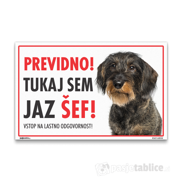 RESASTI JAZBEČAR 3