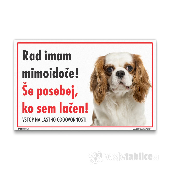 CAVALIER KING CHARLES10