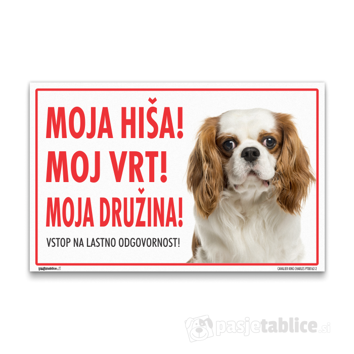 CAVALIER KING CHARLES2