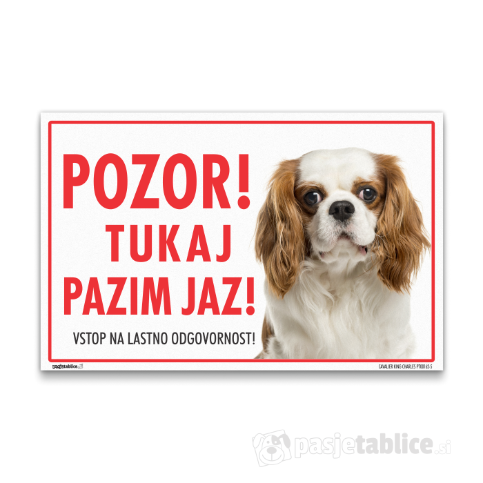 CAVALIER KING CHARLES5