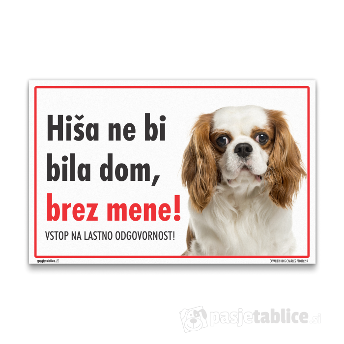 CAVALIER KING CHARLES9